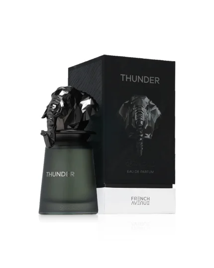 French Avenue Thunder 100ml EDP